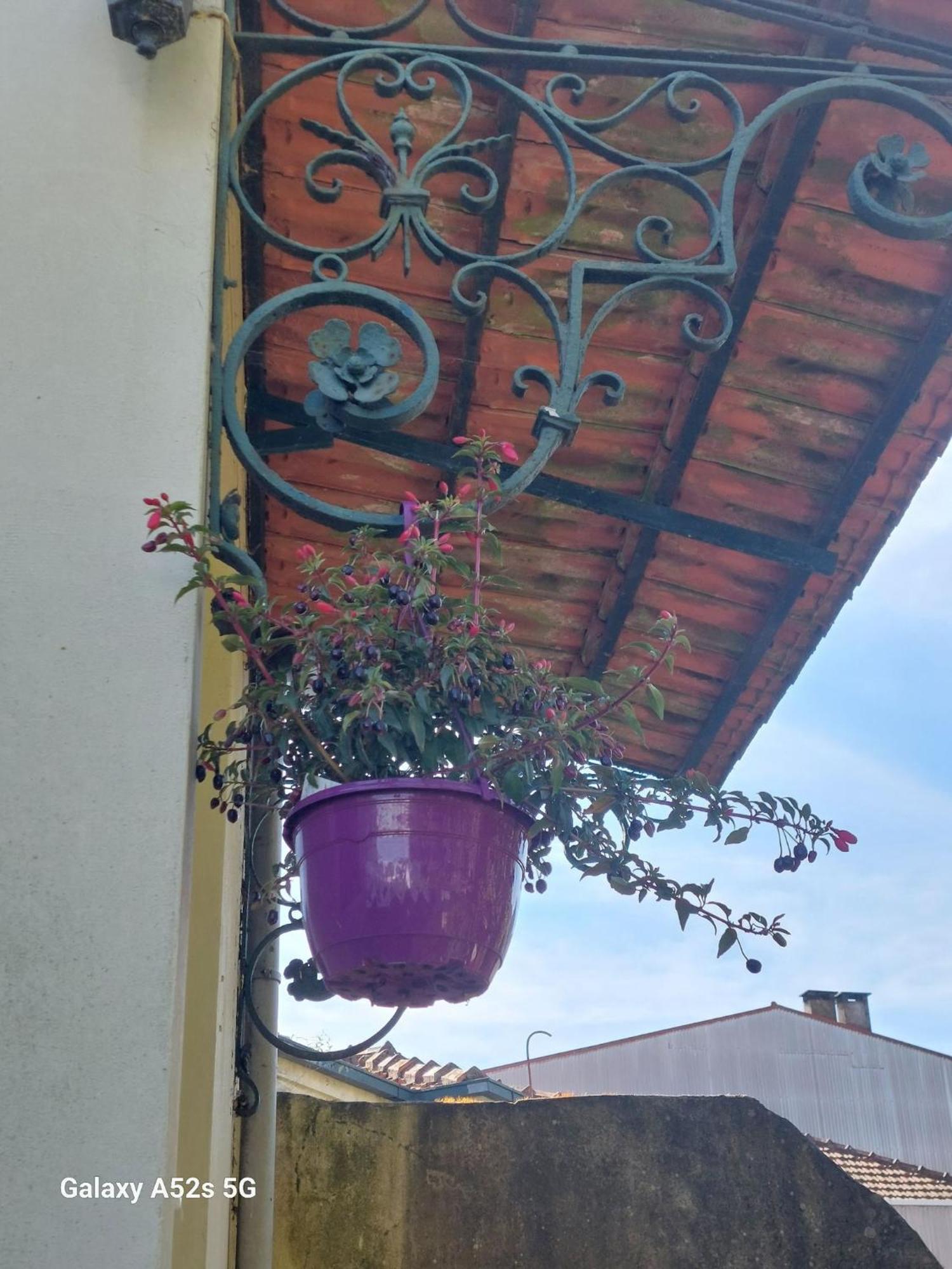 Apartmán Casa Portugueza Experience Porto Exteriér fotografie