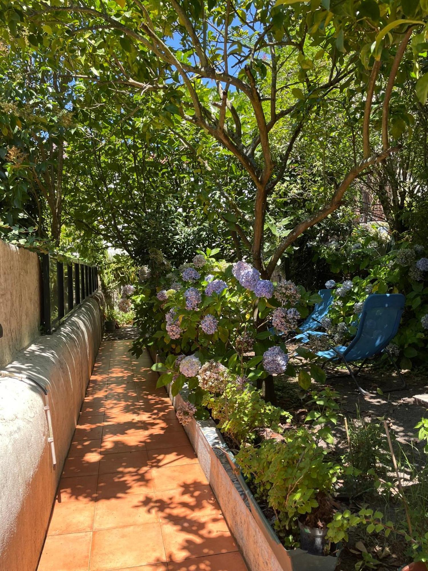 Apartmán Casa Portugueza Experience Porto Exteriér fotografie
